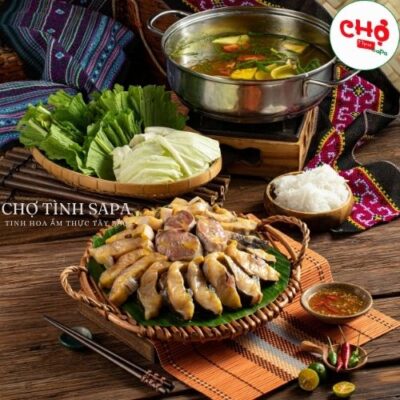 Cá tầm Sapa tươi sống